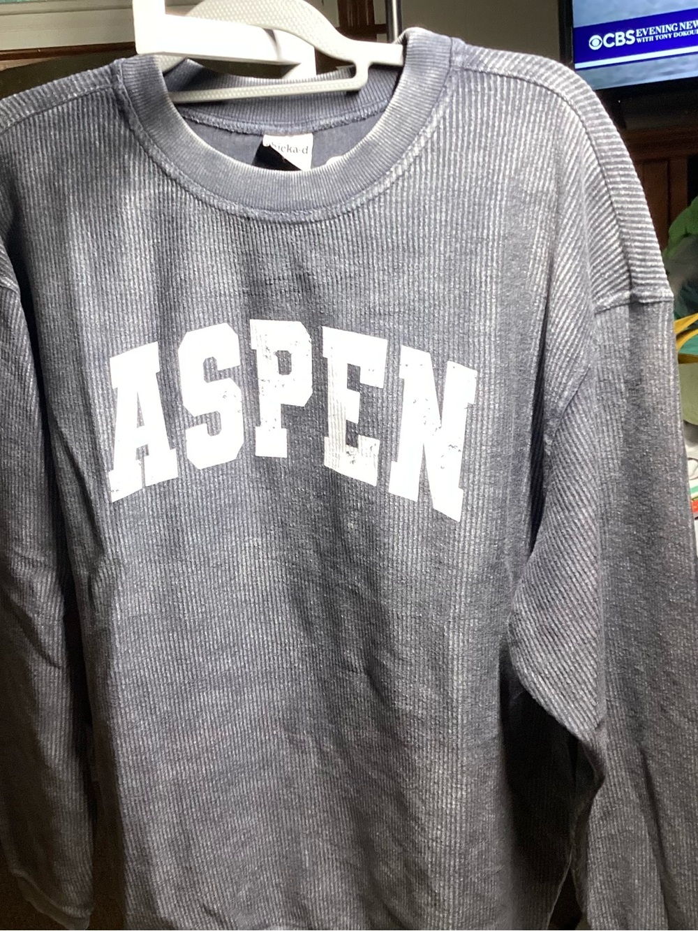 Aspen Ribbed Crew Sweatshirt - Gray by Aspen